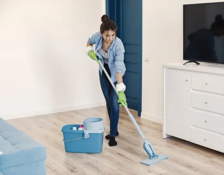 Femme de ménage Mouleydier